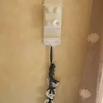 Ab *